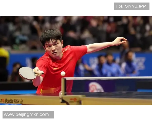 樊振东与许昕巅峰对决乒乓球赛精彩回顾与战术分析